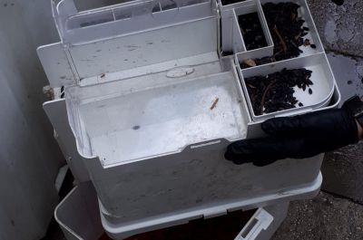 Nous mettons à disposition de nos clients des machines à capture de rongeurs et effectuons l’entretien des pièges.